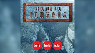 С какой целью армяне начали вырубать Топхана?