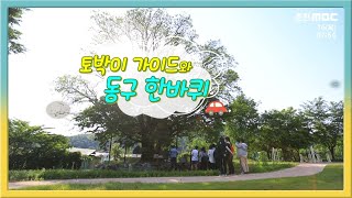 [전국시대] 동구 한바퀴