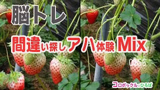 【間違い探し/進化系】さらに画像が変化！画像の一部が変化する脳トレクイズ　動体視力と集中力をトレーニングして健康寿命を延ばそう