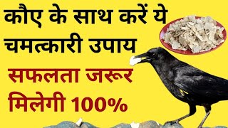 🦅कौवे को यह चीज़ खिलाने के रहस्य | Crow ko 1 cheez khilana jarur chahiye