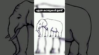 2. എത്ര കാലുകൾ ഉണ്ട് 🤨😵#opticalillusion #illusion #factsmalayalam