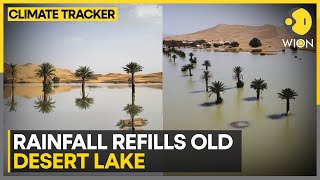 Water Gushes Through Sand Of Sahara | WION Climate Tracker | World News