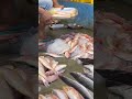 chennai kavangarai fish market🐠 🐟🐬🐋🪼🦐🦞🦀 cheapest fish market