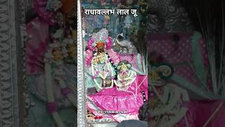 राधावल्लभ लाल जू Radhavallabh G #radhavallabh #radhavallabhdarshan #vrindavan #brij