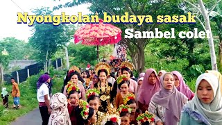 TERADISI BUDAYA SASAK LOMBOK NYONGKOLAN DIIRINGI GENDANG BLEK KECIMOL ALDEVA MUSIK