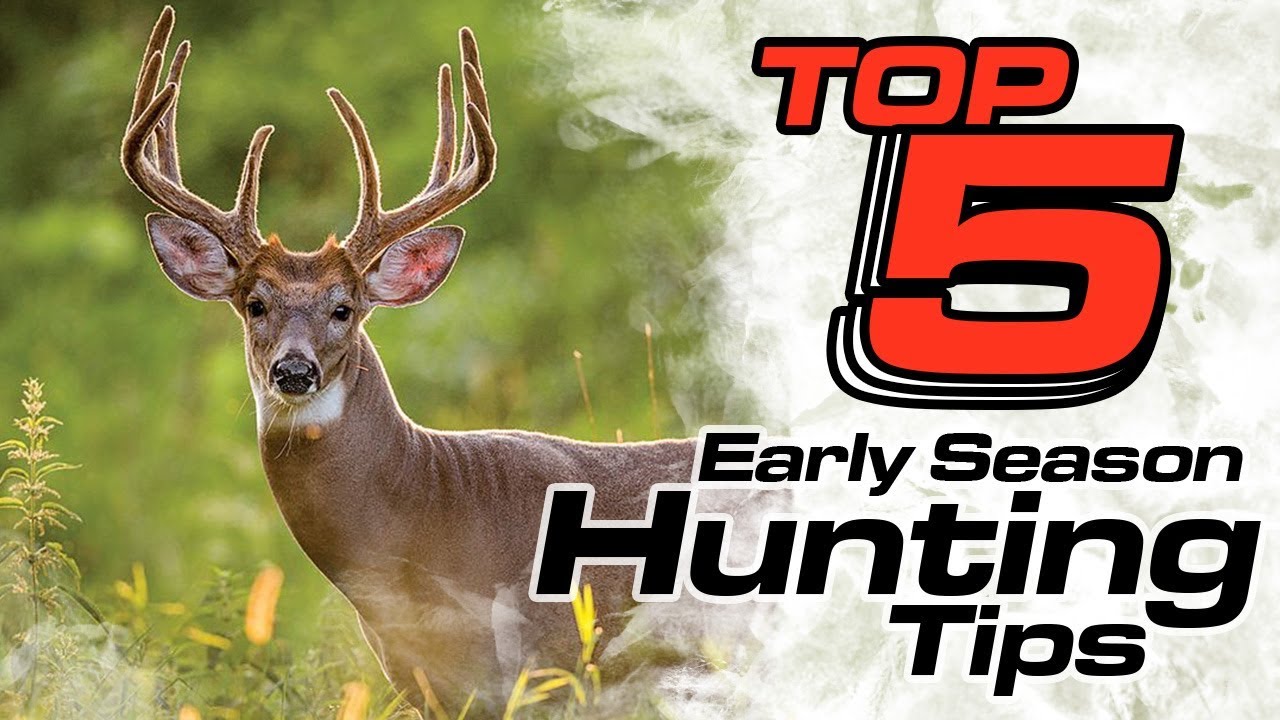 Top 5 Early Season Deer Hunting Tips-TideWe - YouTube