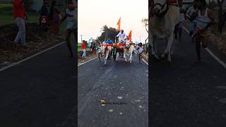 Mudhol race bulls|| ಬಬಲಾದಿ ಸರ್ಜಾ \u0026 ಒಂಟಗೋಡಿ ರಾಮ 🚩 💥🔥 #dj #love #song #haryanvisong #bullraces