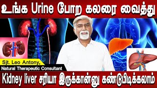 எல்லா நோயும் ஓடிப் போய்விடும் | Kidney Liver problem symptoms treatment | Sjt.Leo Antony | Mr Ladies