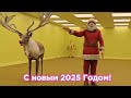 🎄Зимние и Новогодние уровни Закулисья 🎄