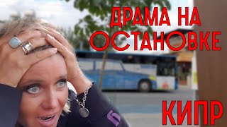 Общественный транспорт на Кипре. Автобусы и правила перевозки еды