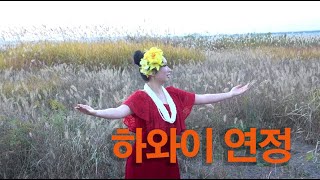 하와이 연정