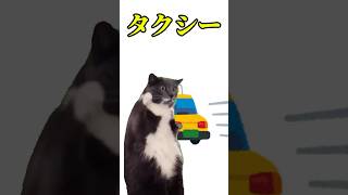 コミュ障のタクシーの呼び方#shorts #tiktok #関西人