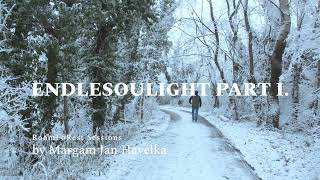 Endlesoulight part I. - RoomFoRest Session