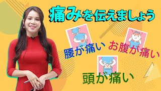 「基礎１単語」痛みを伝えましょう！ベトナム語ネット講義 rakurakuvietnam.com