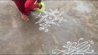 రోజువారీ  వాకిట్లో ముగ్గులు/easy rangoli/creative rangoli