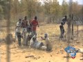 SA Deports 300 Zimbabweans a Day