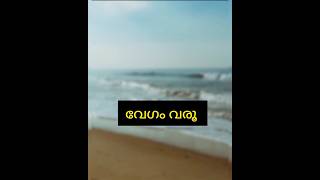 വേഗം വരൂ #dailyuseenglishsentences