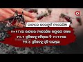 ମ୍ୟାଲେରିଆରେ ଓଡିଶା ଏକ ନମ୍ବର maleria in odisha