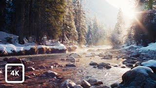 Winter Forest River Ambience - Snowy Alps with Sunlit Mist \u0026 Birdsong | Relaxing Nature Sounds 4K