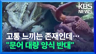 [글로벌K] “문어는 지각있는 동물”…세계 첫 양식 추진에 반발 잇따라 / KBS  2021.12.22.