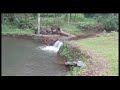 kaduhithlu homestay resort sakleshpur karnataka