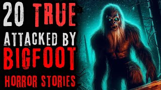 20 TRUE attacked by Bigfoot Horror Stories