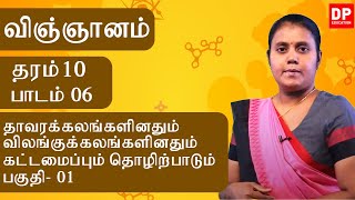 பாடம் 06 - தாவர மற்றும் விலங்கு உயிரணுக்களின் அமைப்பு மற்றும் செயல்பாடு (பகுதி 01) |தரம் 10 தமிழில்