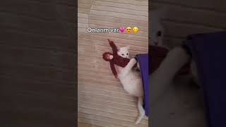 şu hayattaki tek şanslarım😻🫀