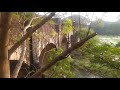 british bridge palakkad aqueduct british palam shooting location vd133 mycuisine britishbridge vlog