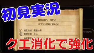 全力で楽しむドラクエヒーローズ2 #6 ラスボス前に必須クエストを消化 【DQH2攻略実況】