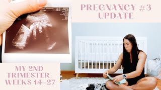 Pregnancy Update | My second trimester, 28 week appointment, and organizing baby's nursery