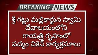 శ్రీ గట్టు మల్లికార్జున స్వామి దేవాలయం లో మద్యం చికెన్ కార్యక్రమాలు, పట్టించుకోని అధికారులు