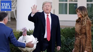 Thanksgiving Flashback: President Trump Pardons 'Butter" The Turkey In 2019