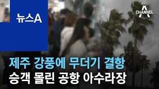 제주 강풍에 무더기 결항…승객 몰린 공항 아수라장 | 뉴스A