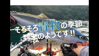 そろそろ青物の季節到来のようです‼