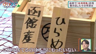 未利用魚活用　道内各地の現状は　９月２日放送