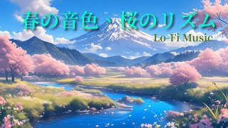 【Lo-Fi Music】Melody of Spring, Rhythm of Sakura