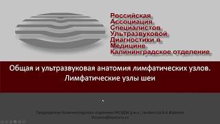 Общая и ультразвуковая анатомия лимфатических узлов. Лимфатические узлы шеи