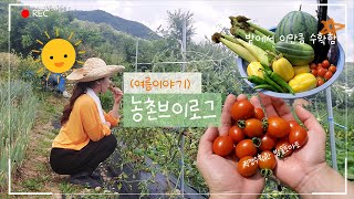 [농촌 Vlog] 2021년 농촌 여름나기