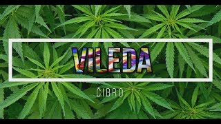 ČIBRO-VILEDA