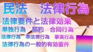 【音声メイン】民法#13 法律行為【イヤホン推奨】