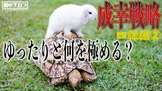 《2023年の運勢解説》全体の流れ　四緑木星 編 パート２