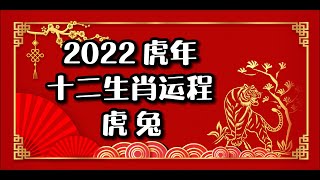 2022壬寅年 十二生肖运程｜虎兔