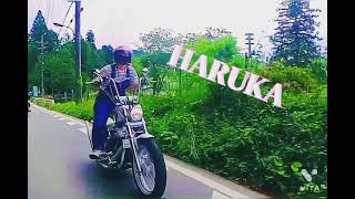 ジョッキーシフト❤️ハーレー女子❤️ハーレーダビッドソン❤️harley davidson❤️ソフテイルカスタム❤️FXSTC❤️ロッカークラッチ