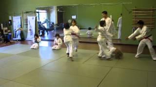 Ten Shin Dojo-Chico martial arts