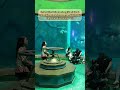 TEROWONGAN AQUARIUM THE SEA SHELL DI VIETNAM PHU QUOC #clickrefresh #shorts