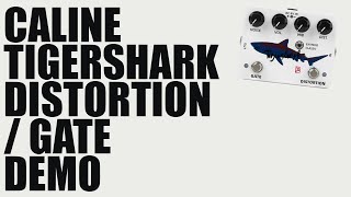 Caline - DCP-10 Tigershark Distortion / Gate - Demo