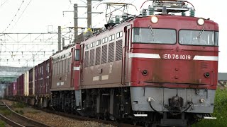 ED76-1019+EF81-404 重連 4083レ