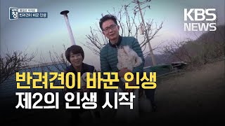 [통일로 미래로] 반려견이 준 행복…제2의 인생 시작한 탈북민 / KBS 2021.03.27.