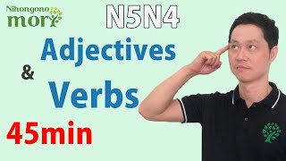 【日本語の森】N5N4 Adjectives and Verbs 45min